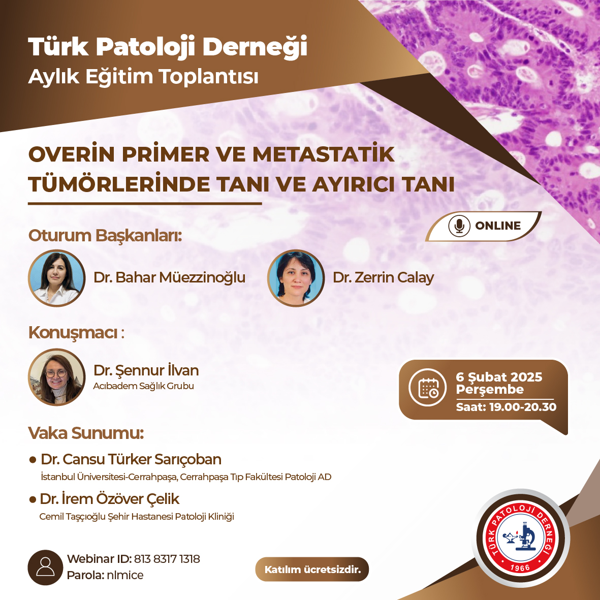 Overin Primer ve Metastatik Tümörlerinde Tanı ve Ayırıcı Tanı